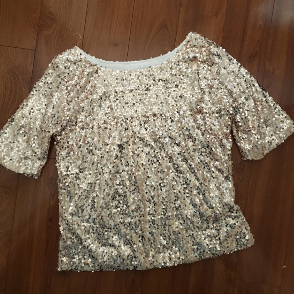 Rose Gold Sequin Blouse 2XL